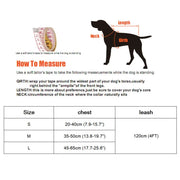 Nylon Mesh Harness Leash Set
