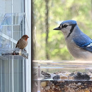 Clear Acrylic Window Bird Feeder
