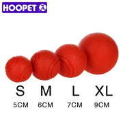 Bite Resistant Rubber Dog Ball Toy