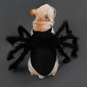 Spider Halloween Costume For Cats Dogs