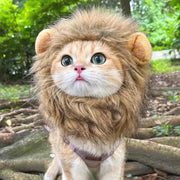 Lion Head Cat Hat For Photos