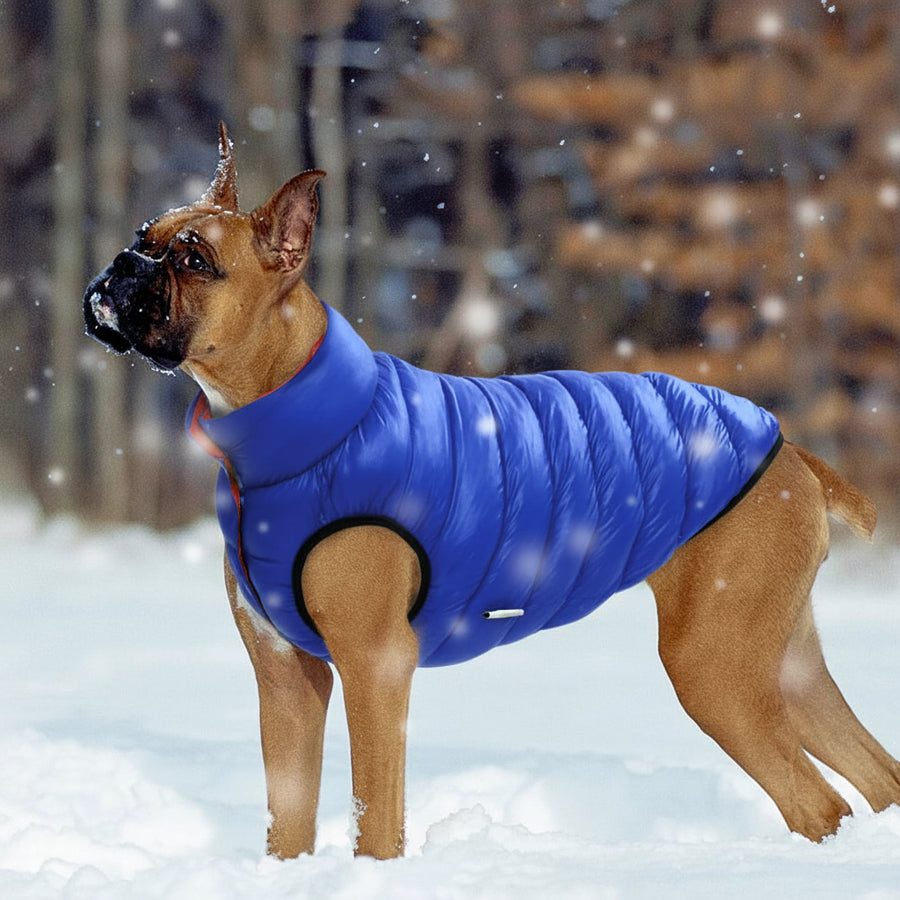 Reversible Waterproof Vest For Cold Weather