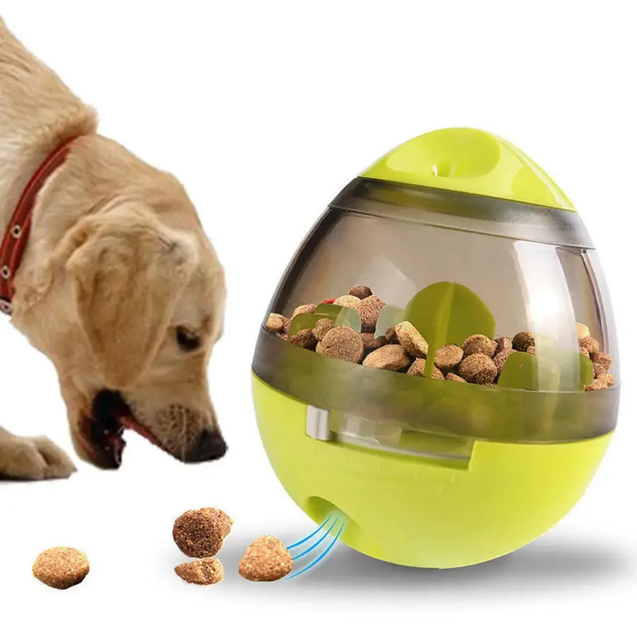 IQ Treat Dispenser Dog Ball Toy