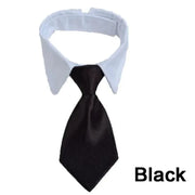 Adjustable Pet Bow Tie Collar