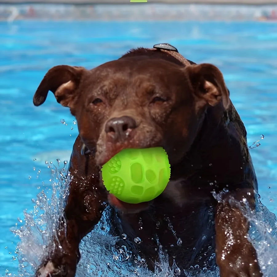 Glow In Dark Squeaky Dog Ball