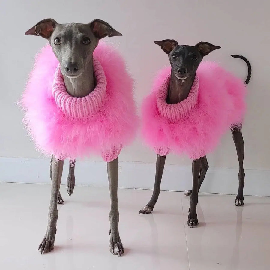 Fashion Party Sweater For Autumn Dogs