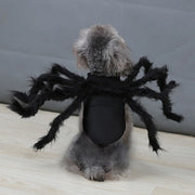 Spider Halloween Costume For Cats Dogs