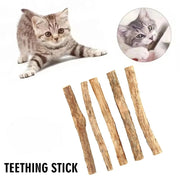 Natural Catnip Chew Stick Set