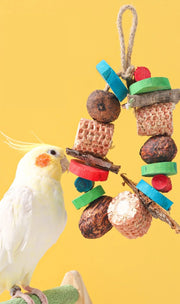 Natural Wood Parrot Chew Toy
