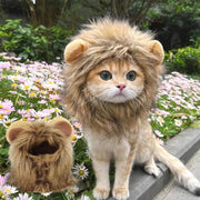 Lion Head Cat Hat For Photos