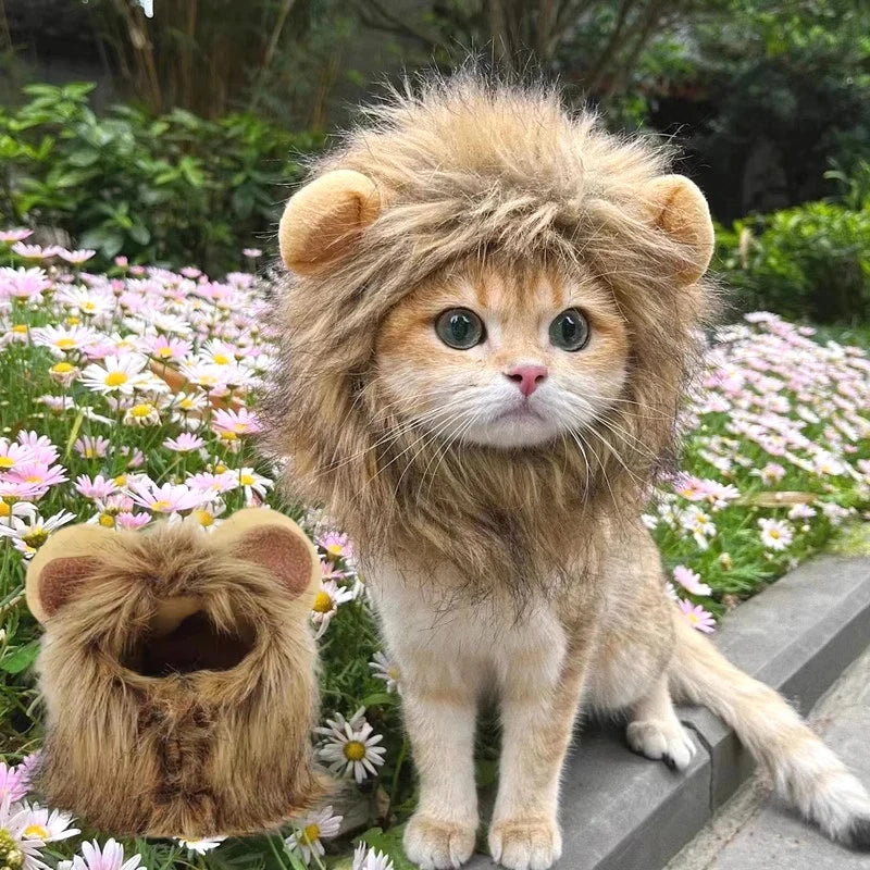 Lion Head Cat Hat For Photos