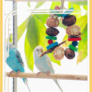 Natural Wood Parrot Chew Toy