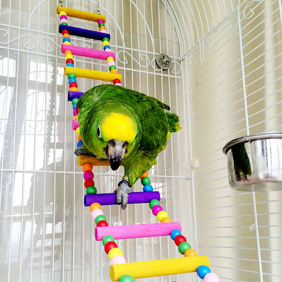 Twelve Step Wooden Bird Ladder