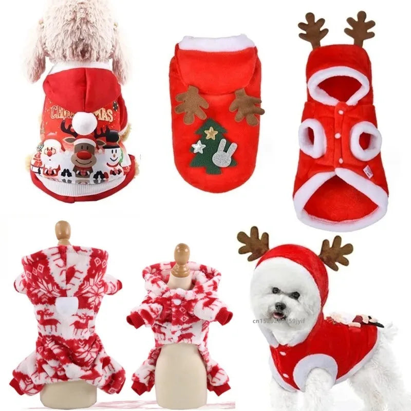 Santa Jacket Costume For Small Pets