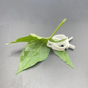 Parrot Fruit Vegetable Holder Clip