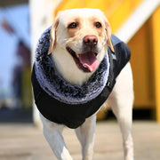 Fur Collar Coat For Large Dogs