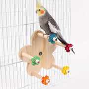 Colorful Parrot Biting Toy Set