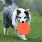 Soft Rubber Frisbee For Dog Training