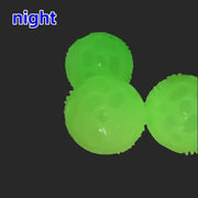 Glow In Dark Squeaky Dog Ball