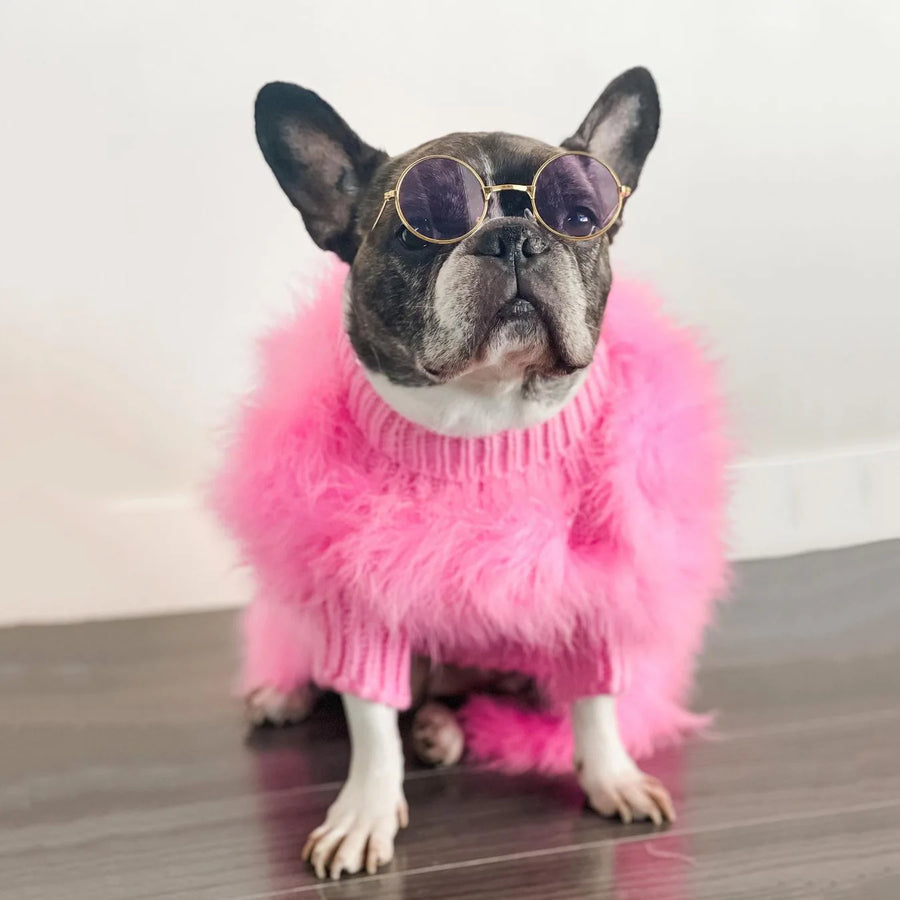 Fashion Party Sweater For Autumn Dogs