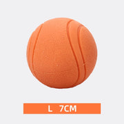 Bite Resistant Rubber Dog Ball Toy