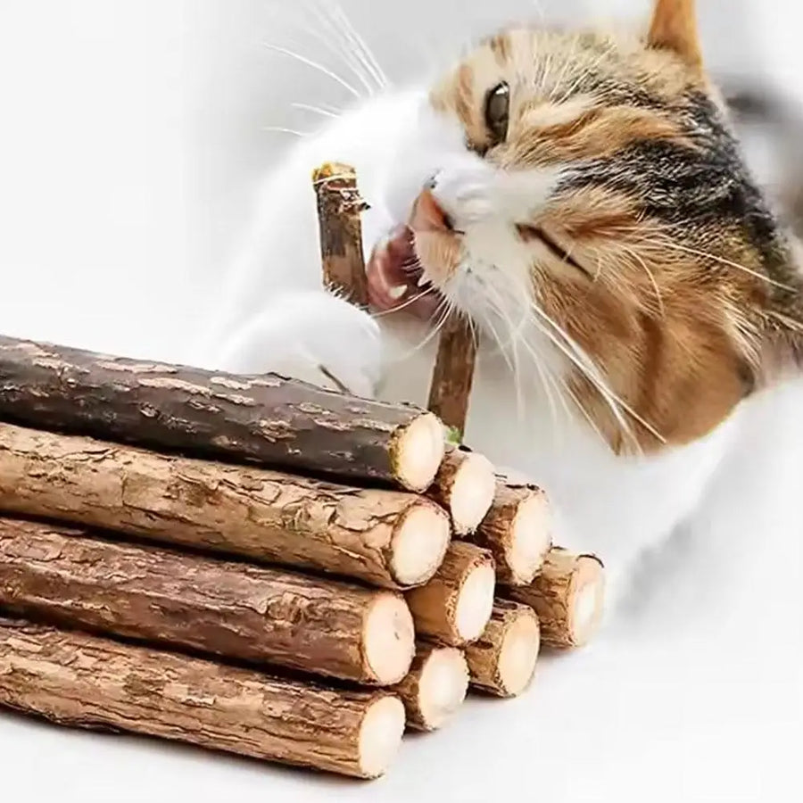Natural Catnip Chew Stick Set