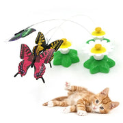 Electric Butterfly Teaser Cat Toy