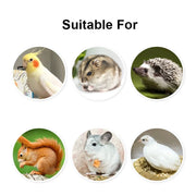 Detachable Transparent Bird Feeder Cup