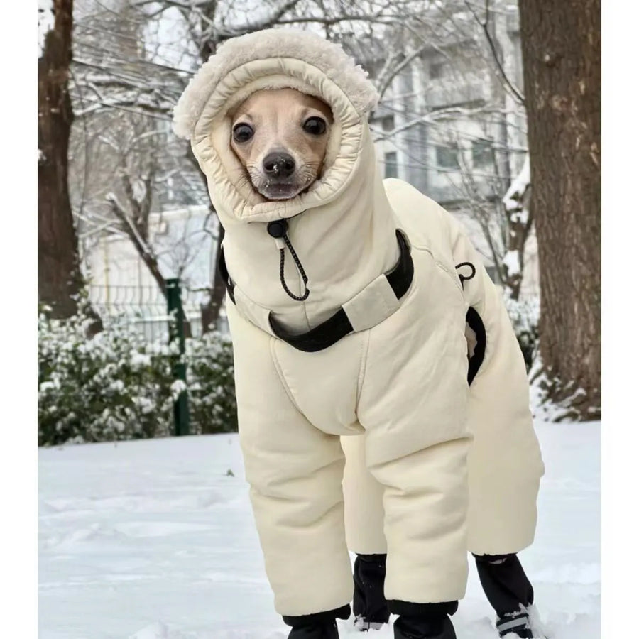 Full Neck Winter Jacket For Large Dogs