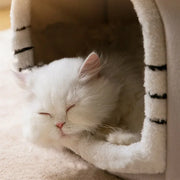 Warm Foldable Cave Bed For Pets