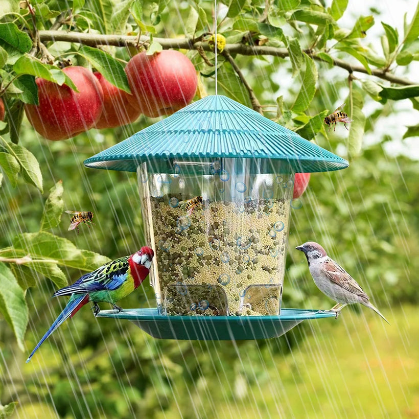 Hanging Peanut Seed Bird Feeder