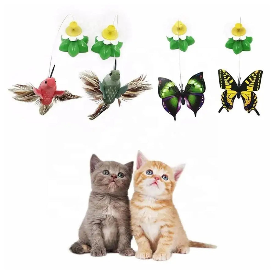 Electric Butterfly Teaser Cat Toy