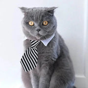 Adjustable Pet Bow Tie Collar