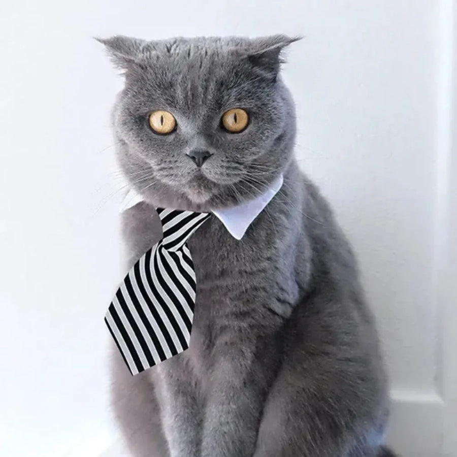 Adjustable Pet Bow Tie Collar