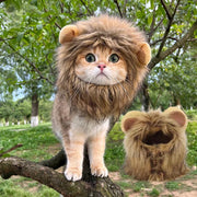 Lion Head Cat Hat For Photos