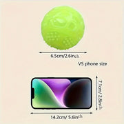 Glow In Dark Squeaky Dog Ball