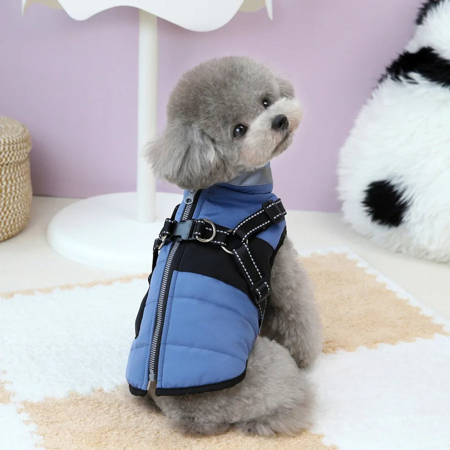Reflective Harness Jacket For Windy Walks