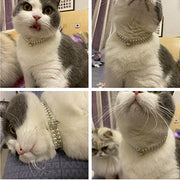 Pearl Rhinestone Pet Collar Necklace