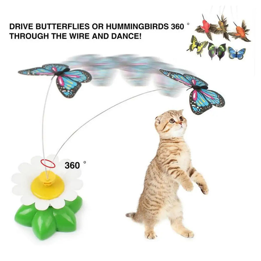 Electric Butterfly Teaser Cat Toy