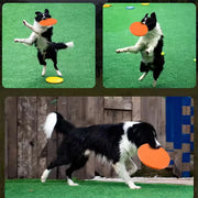 Soft Rubber Frisbee For Dog Training