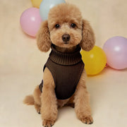 Lightweight Warm Sweater For Outdoor Dogs