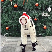 Full Neck Winter Jacket For Large Dogs