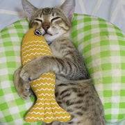 Plush Fish Cat Kicker Toy