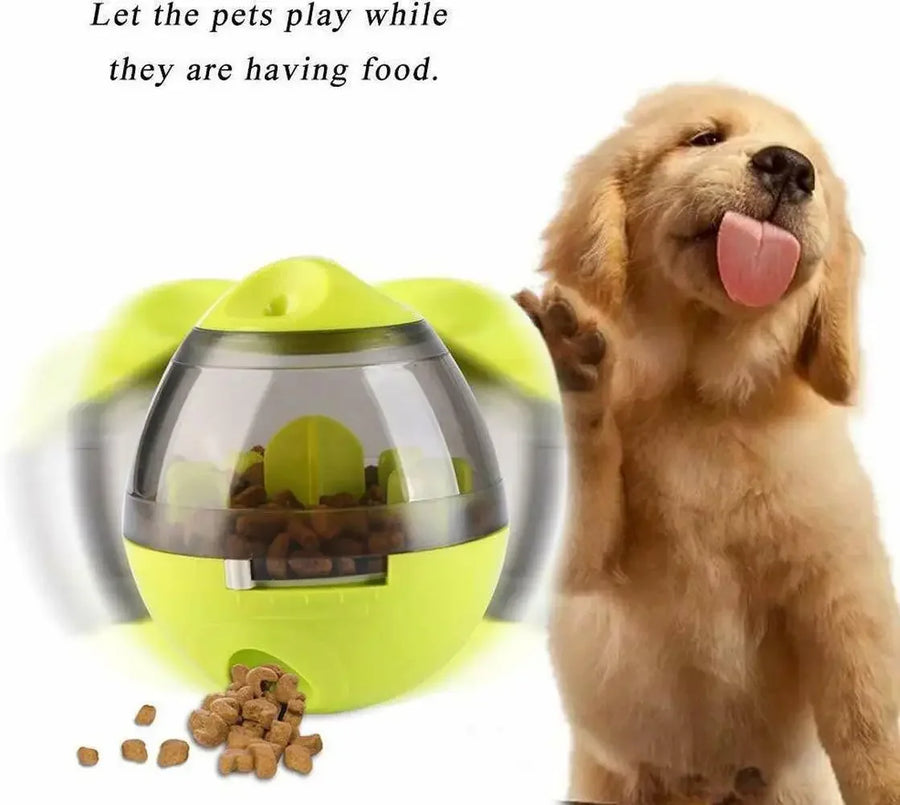 IQ Treat Dispenser Dog Ball Toy