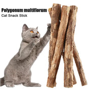 Natural Catnip Chew Stick Set