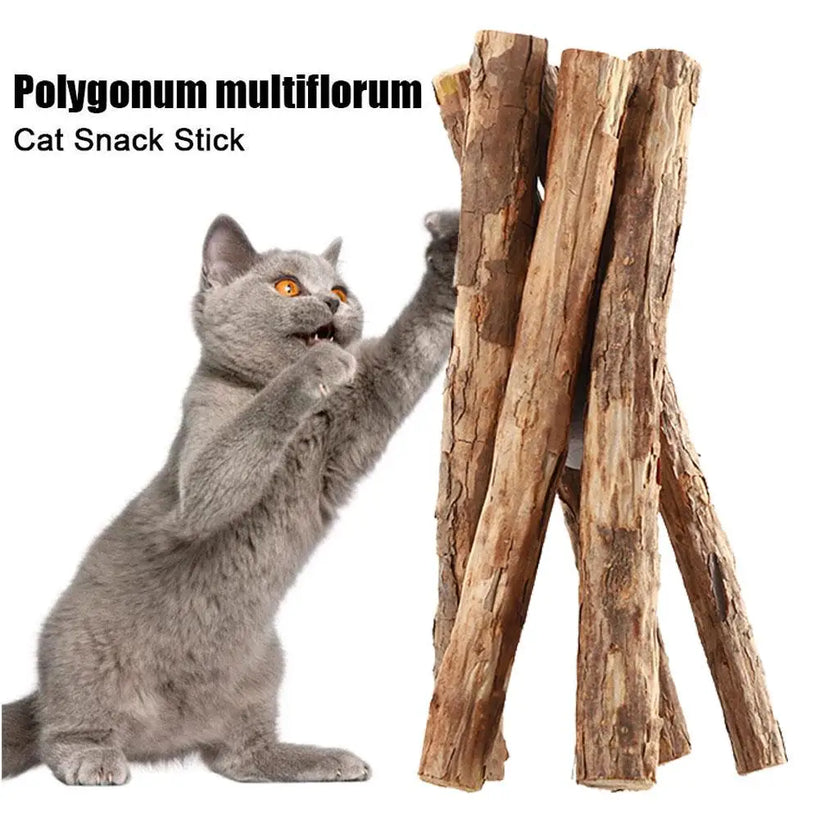 Natural Catnip Chew Stick Set