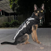 Fur Collar Coat For Large Dogs