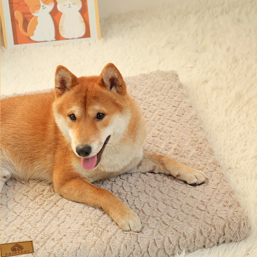 Orthopedic Foam Crate Bed With Cover
