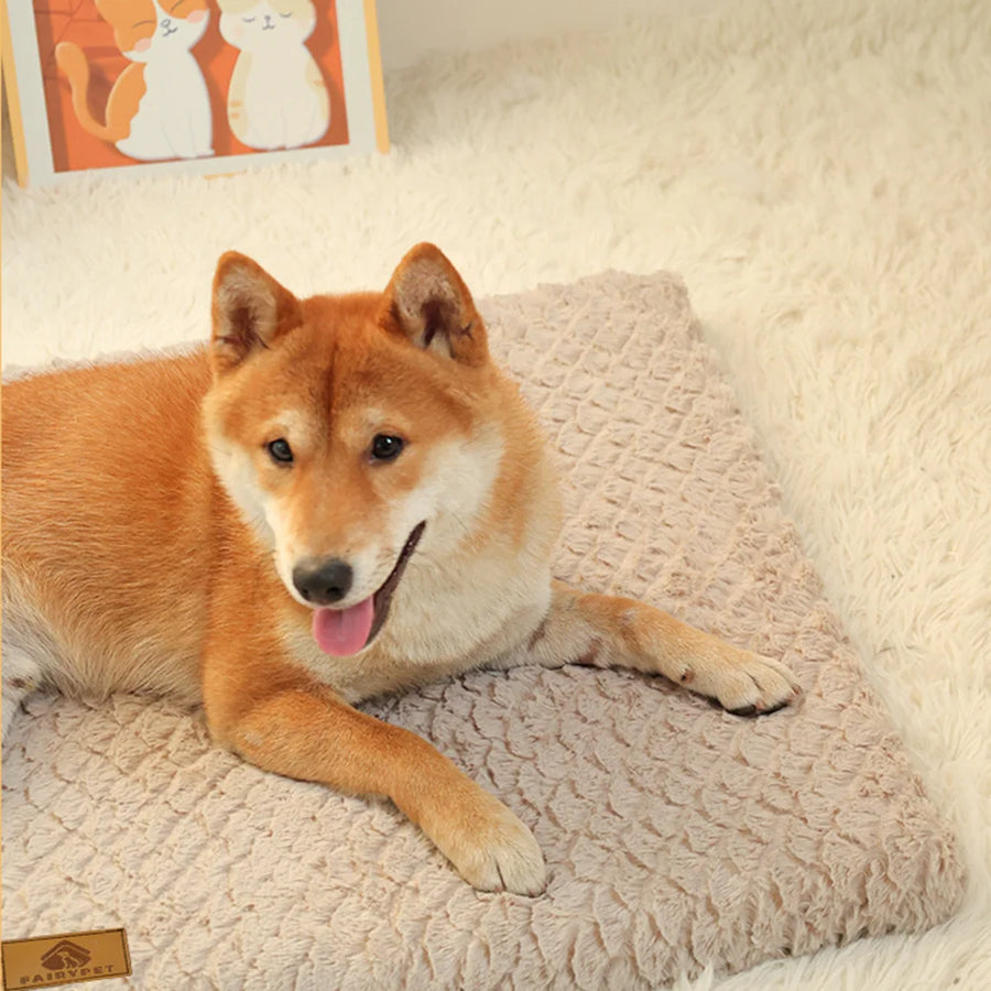 Orthopedic Foam Crate Bed With Cover