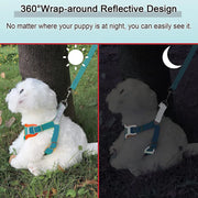 Step In Reflective Dog Harness Set